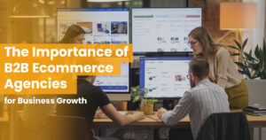 Visual representation of B2B eCommerce agencies driving business growth through strategic partnerships and innovative solutions.